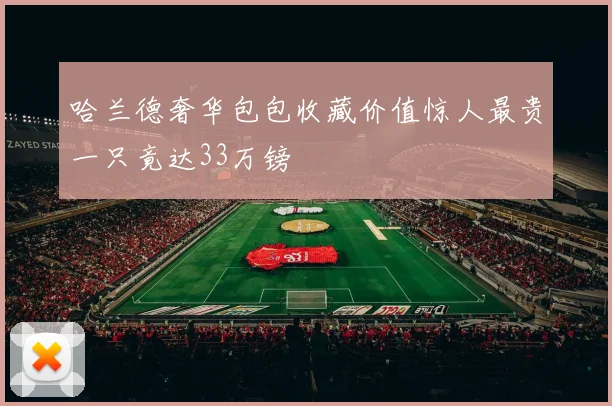 哈兰德奢华包包收藏价值惊人最贵一只竟达33万镑