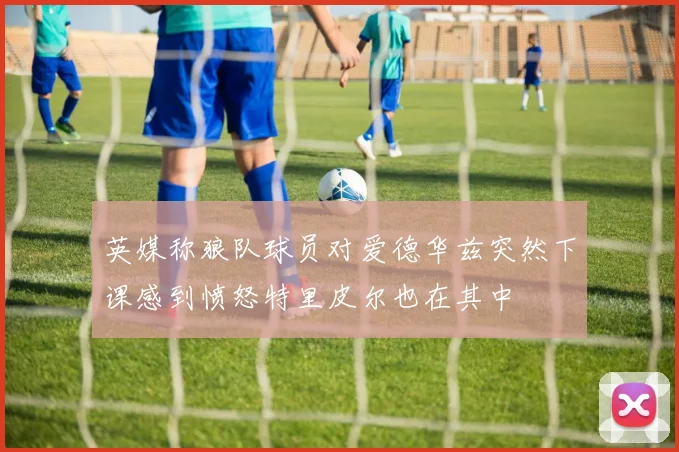 英媒称狼队球员对爱德华兹突然下课感到愤怒特里皮尔也在其中