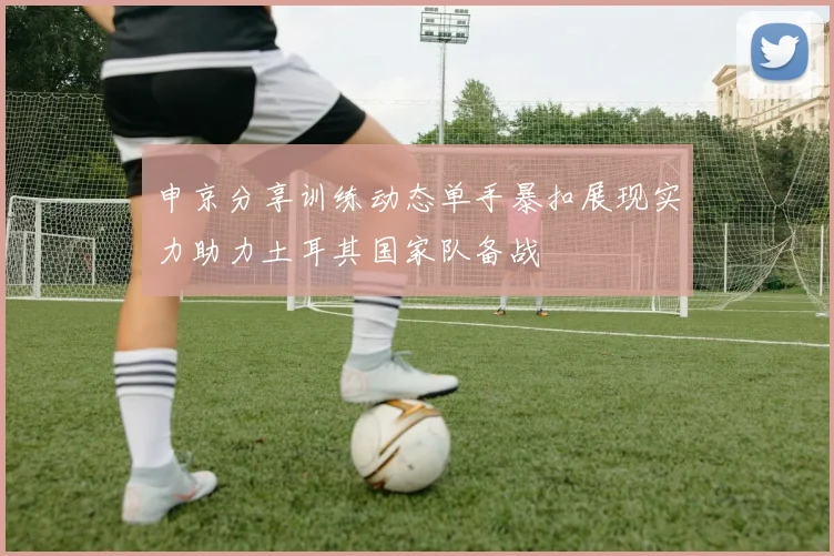 申京分享训练动态单手暴扣展现实力助力土耳其国家队备战